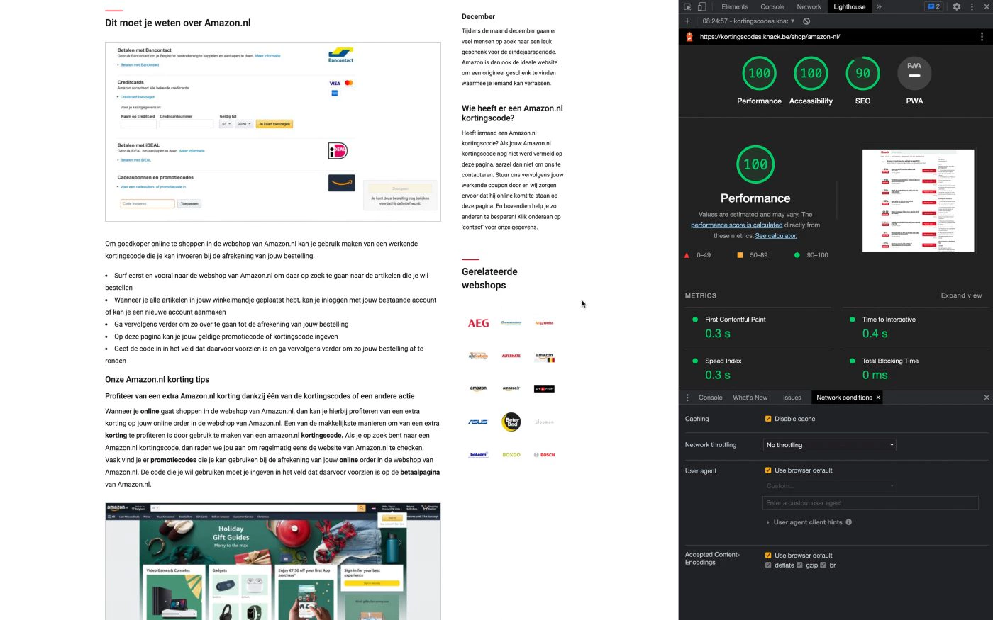 lighthouse score 100