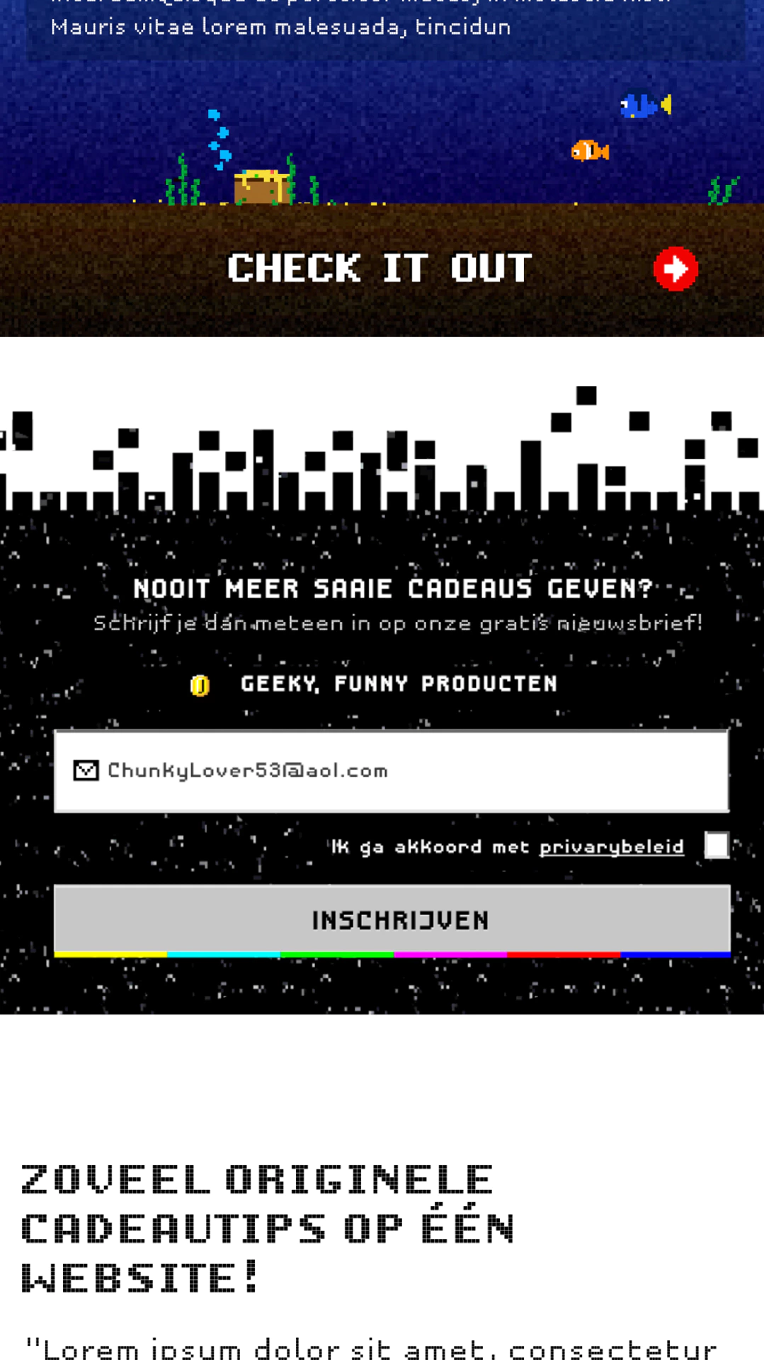 Retro Webdesign in Glitch- en Pixel-art Screenshot optin