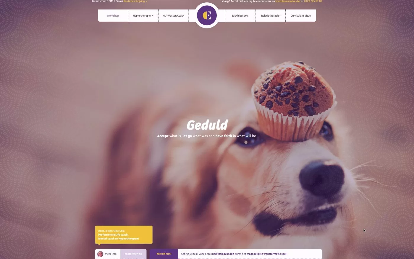 Geduldige Hond Header afbeelding Webdesign