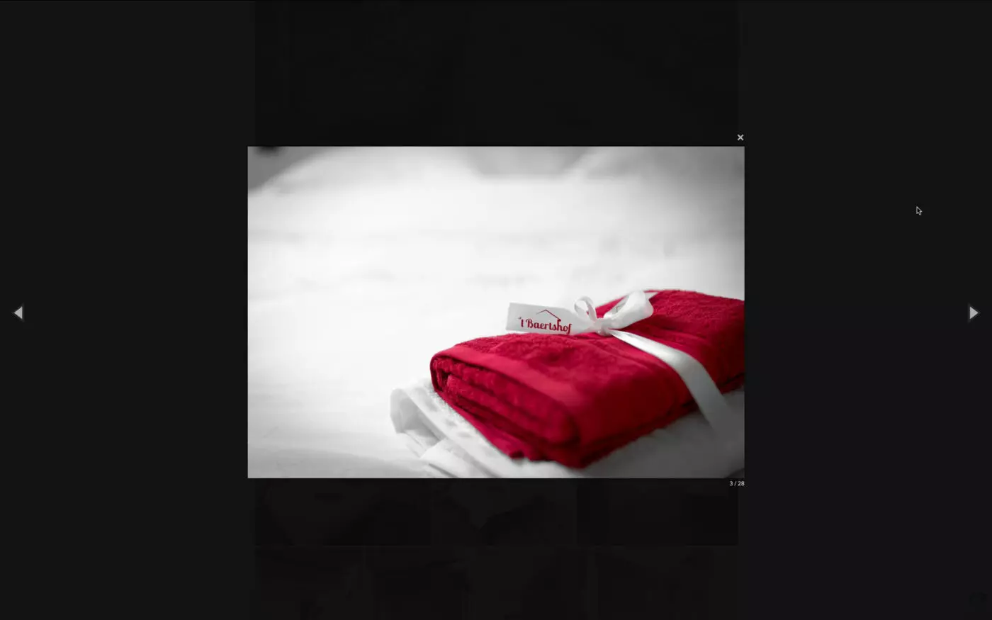 screenshot foto in lightbox