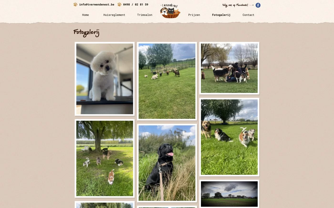 Gallerij van Organisch en Gezellig Web Design