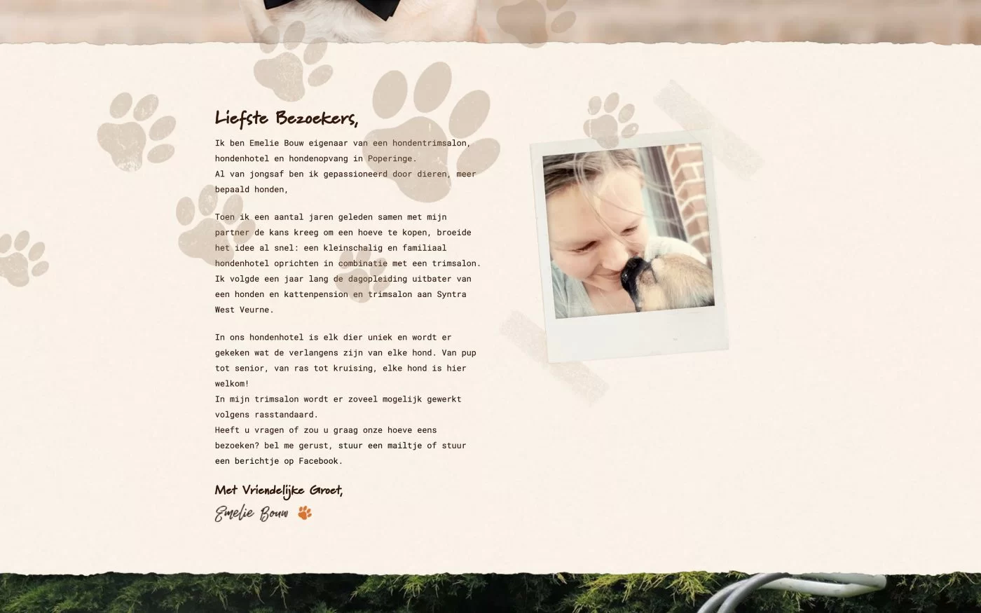 Organisch en Gezellig Web Design