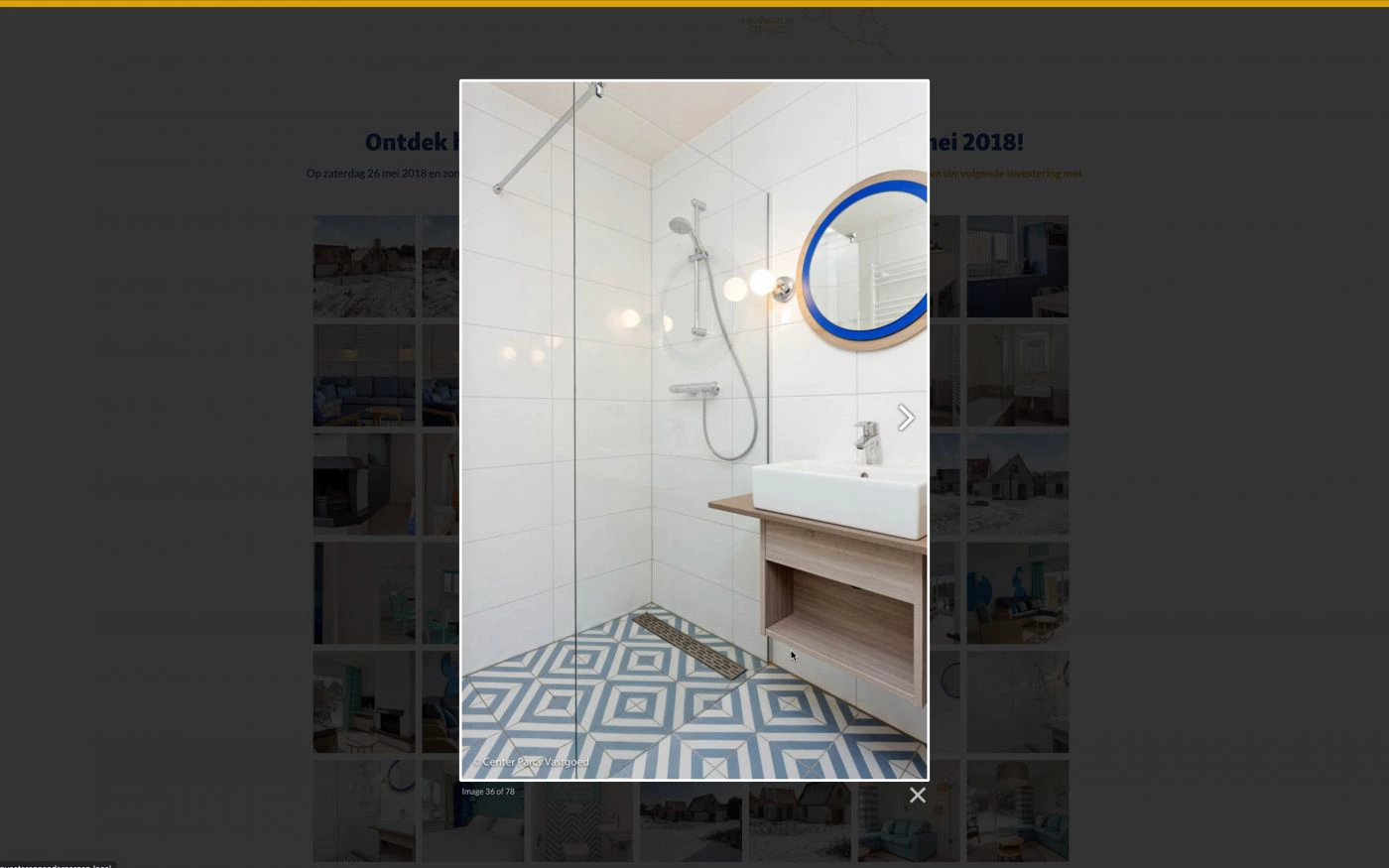 Screenshot lightbox Facebook Reclame Campagne website