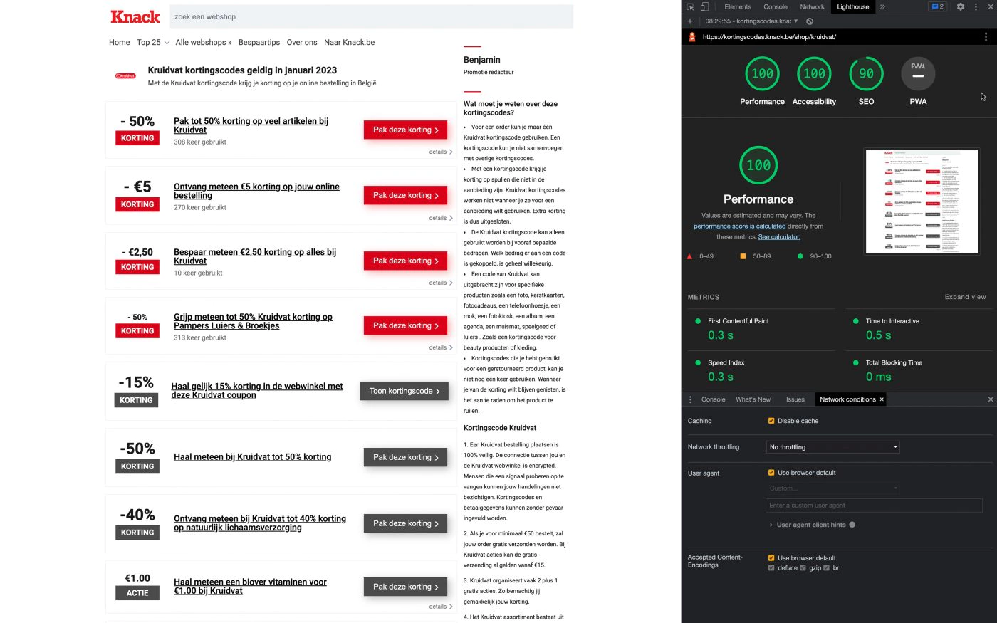 lighthouse score 100
