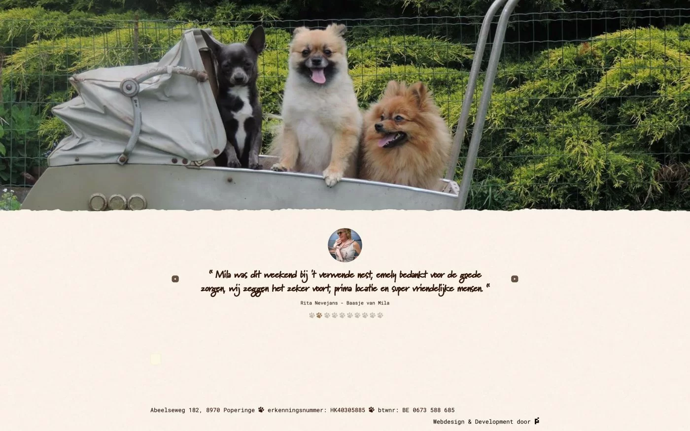 tverwendenest testimonials