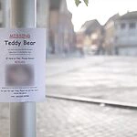 ted missing poster