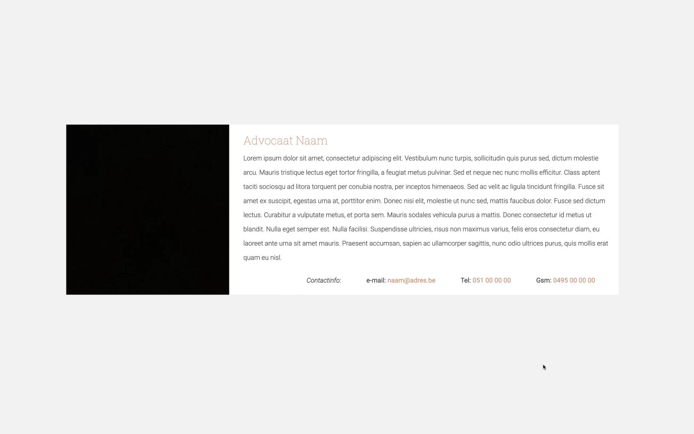 screenshot Luxe website voor advocatenbedrijf